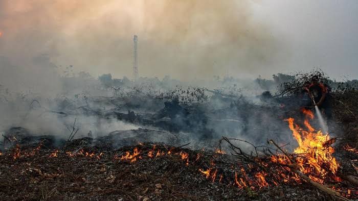 Hari Ini Hotspot Kembali Terdeteksi di Riau