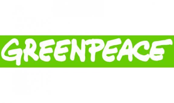 Greenpeace Sayangkan Anak Sungai Lubuk Godang Ditutup PT Inti Indosawit Subur