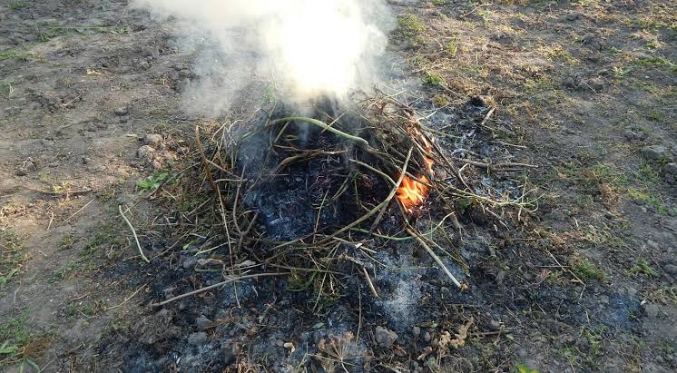 Bakar Sampah Bisa Didenda Rp250 Ribu Hingga Rp1,5 Juta