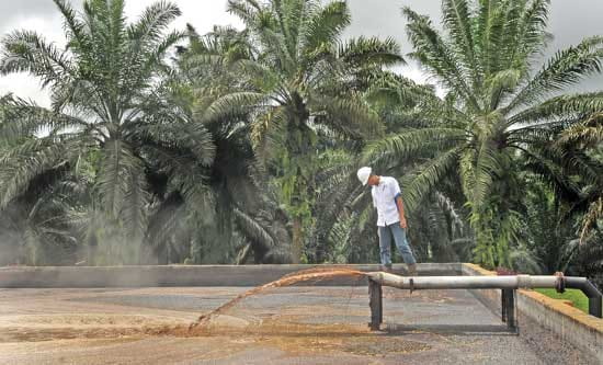 Diduga ada permainan antara dinas DLHK INHU dan PT. SSS(Sanling Sawit Sejahtera) ketua FPMPH-R Angki Mei Putra, SH desak DLHK Riau ambil alih kasus ini