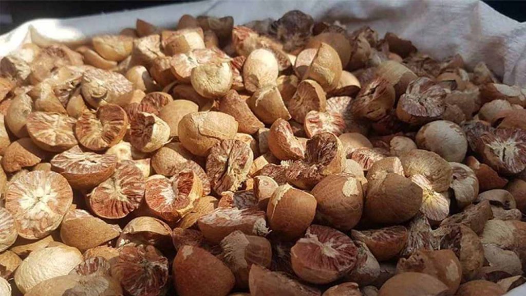 Harga Pinang Kering di Riau Turun, Jadi Rp13.529 per Kg