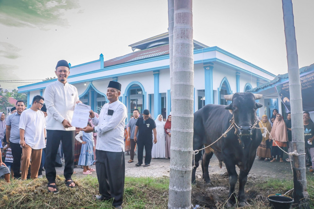 Wali Kota Pekanbaru Serahkan Sapi Kurban Bantuan Presiden RI