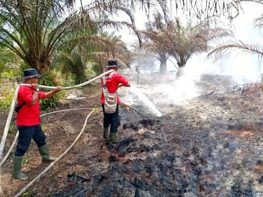 Satgas Karhutla Pelalawan Berhasil Padamkan Titik Api di Desa Sering