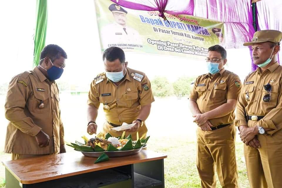 Bupati Kampar Resmikan Pasar Ternak di Tapung