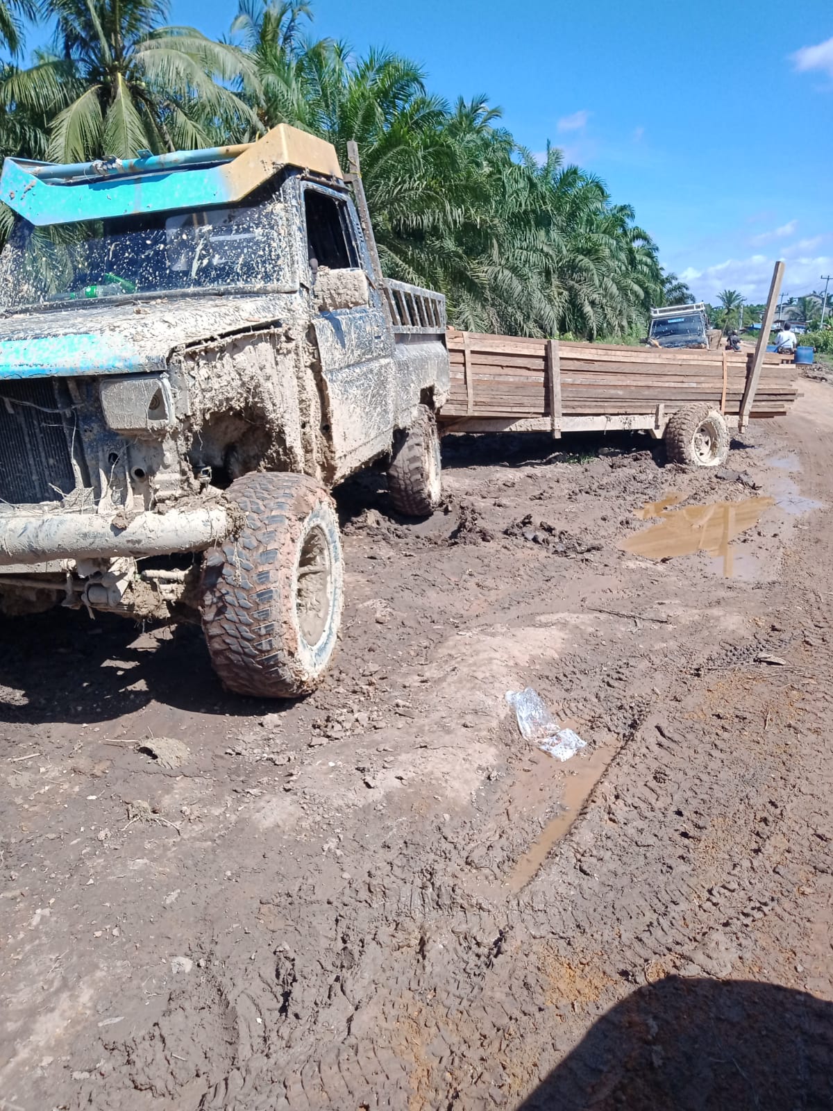 Kegiatan Ilegal Logging Beroperasi Bebas Di Wilayah Hukum Polsek Sungai Sembilan