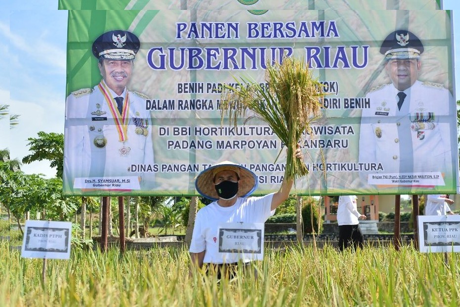 Provinsi Riau Jadi Peringkat I NTP Tertinggi di Sumatera