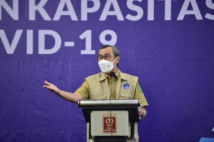 Gubernur Riau Buka Program Penggalangan dan Peningkatan Kapasitas Relawan Covid 19