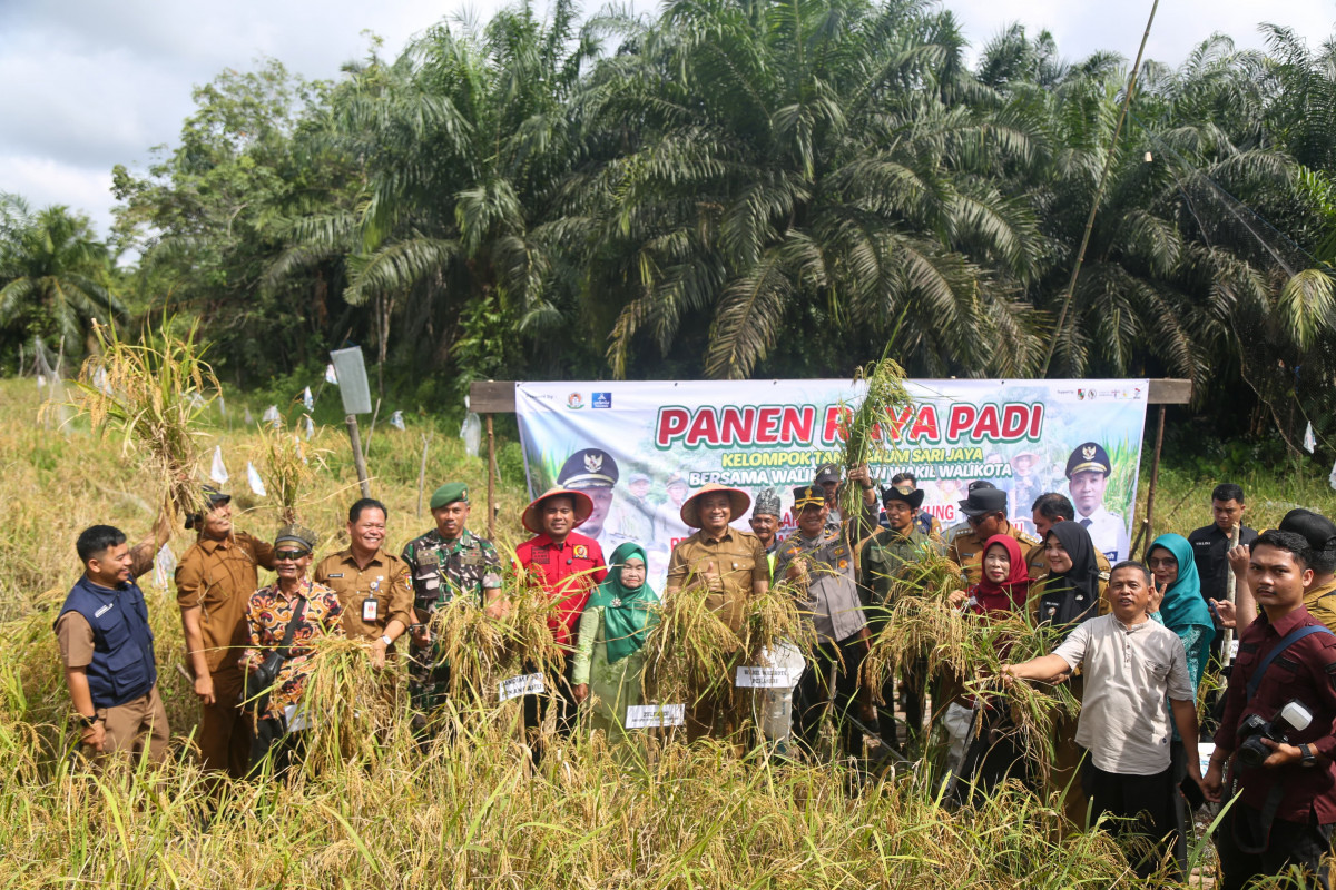 Padi dan Jagung Solusi Ketahanan Pangan, Pemko Siap Maksimalkan Lahan Tidur