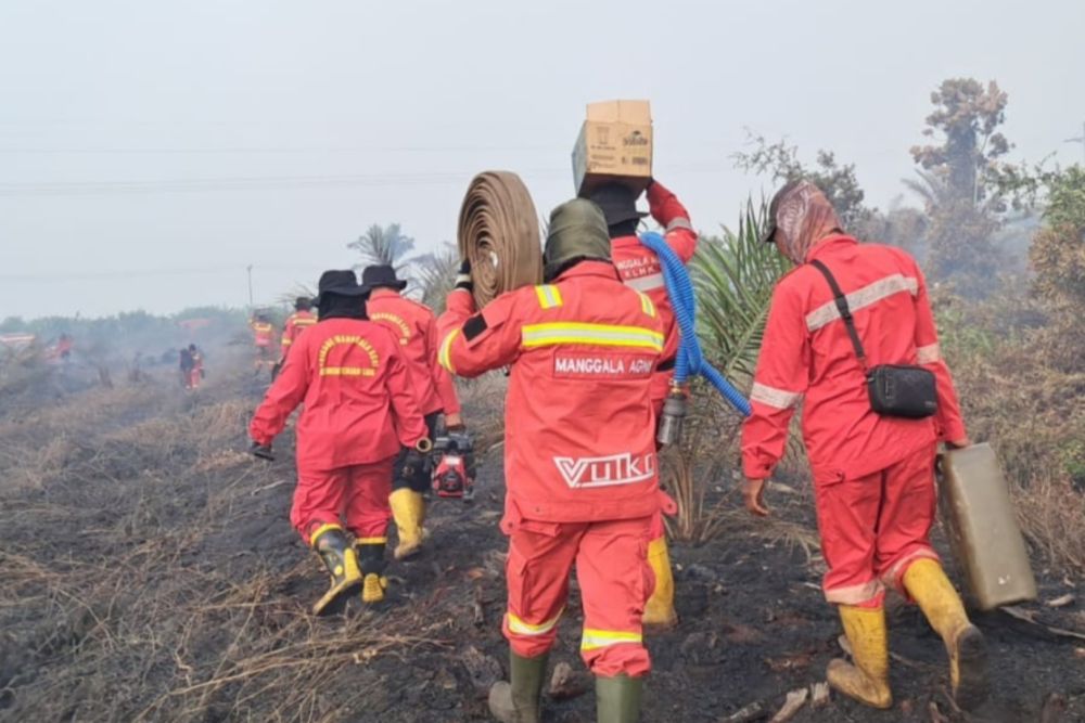 Pelalawan Siaga Darurat Karhutla, Riau Bersiap Tetapkan Status Tingkat Provinsi