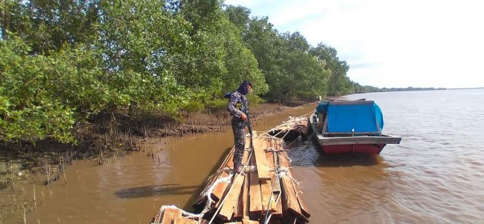 Polda Riau Tangkap Dua Pembawa Kayu Ilegal